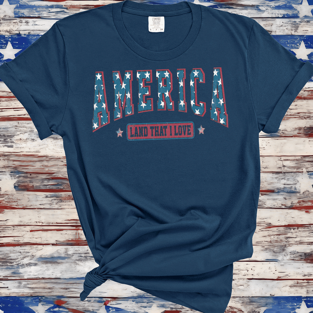 America Land Of The Free Shirt, 4th of July Shirt, Stars stripes  Shirt, Fourth of July Shirt, 4th of July Shirt, Independence Day Shirt