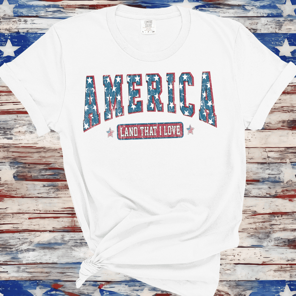 America Land Of The Free Shirt, 4th of July Shirt, Stars stripes  Shirt, Fourth of July Shirt, 4th of July Shirt, Independence Day Shirt